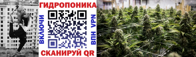 Марихуана индика Чехов